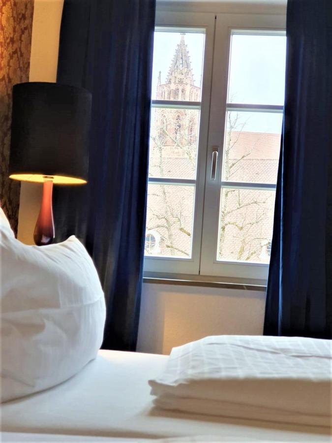 Luxus Apartment Ludwigxv Freiburg im Breisgau Eksteriør bilde