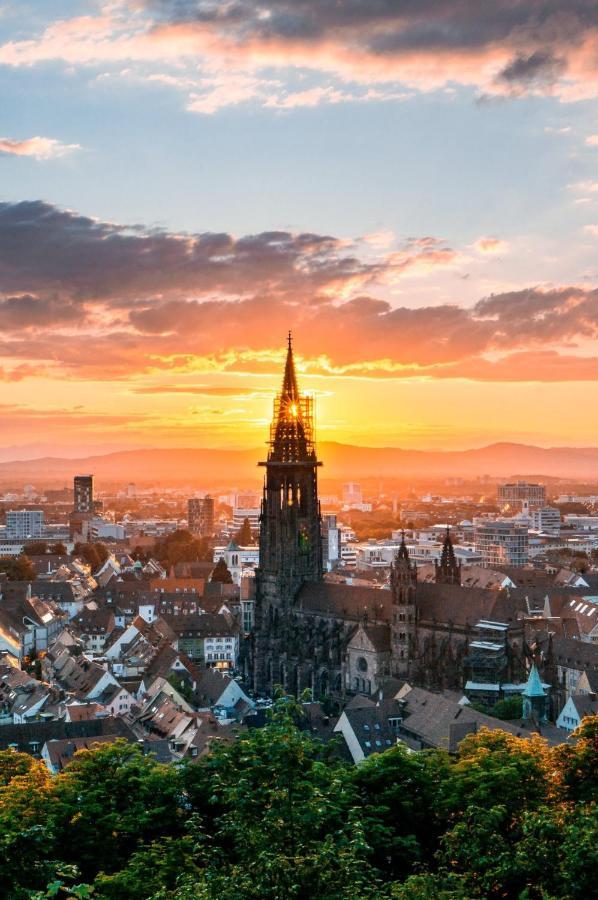 Luxus Apartment Ludwigxv Freiburg im Breisgau Eksteriør bilde