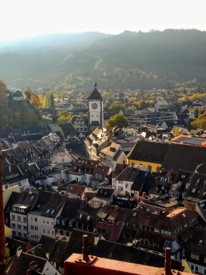Luxus Apartment Ludwigxv Freiburg im Breisgau Eksteriør bilde